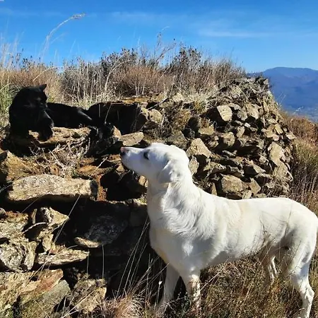 Alpujarra Guesthouse, Remote Off-grid Mountain * Canar